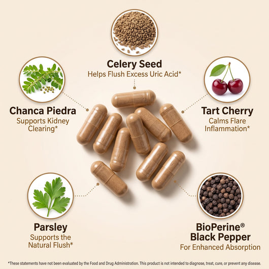 naturlee - Uric Acid & Joint Support